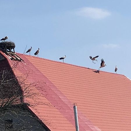 Storchenhof Appartement Eutin Buitenkant foto